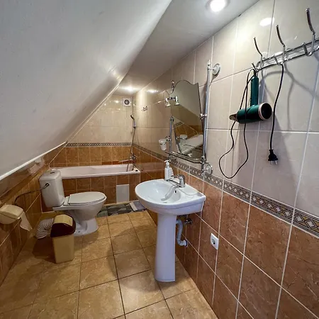 Guest house Shum Cheremosha 3*