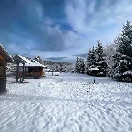 Shum Cheremosha Guest house 3*